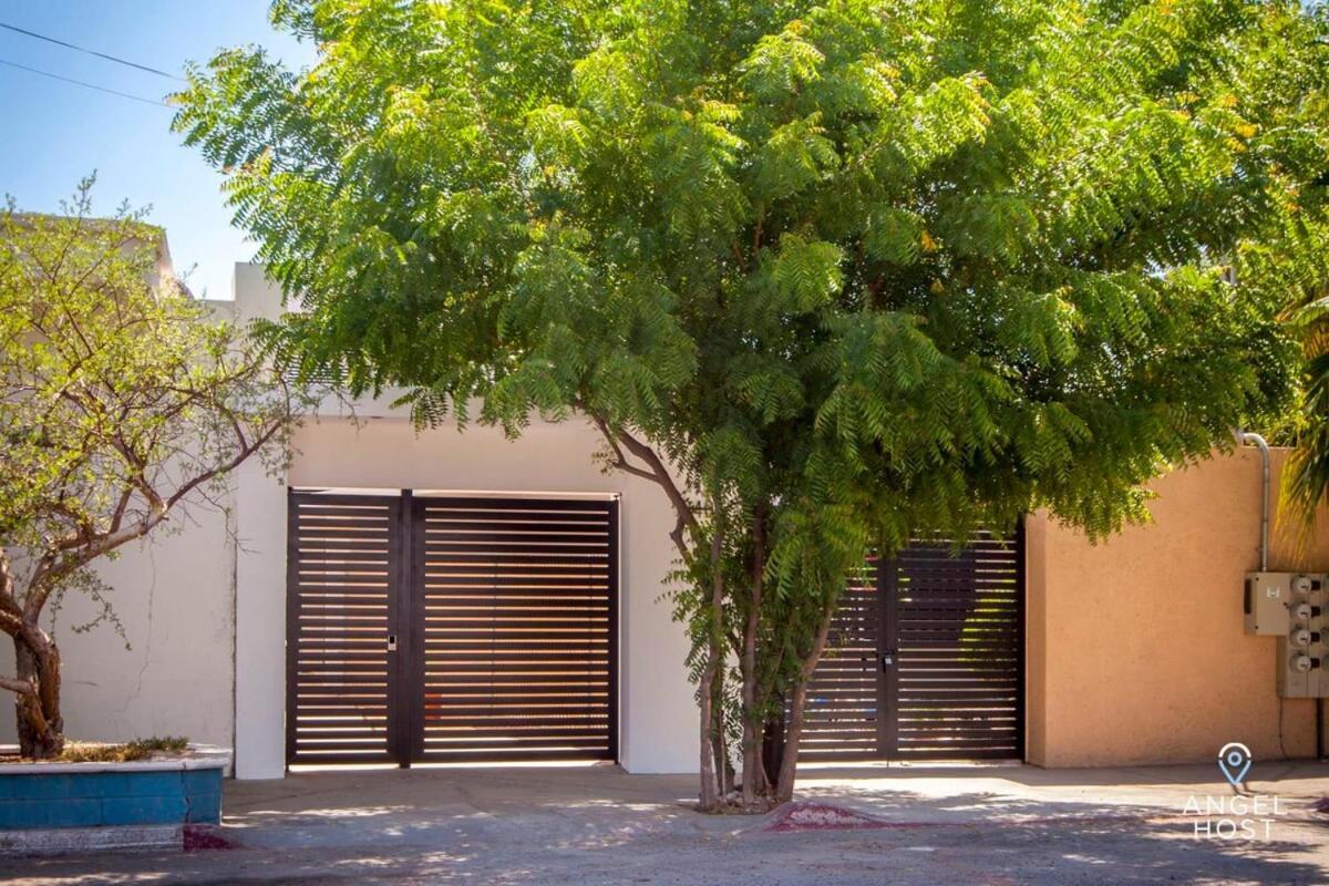 Downtown Room With Pool Bbq And Near All The Hotspots La Paz Esterno foto